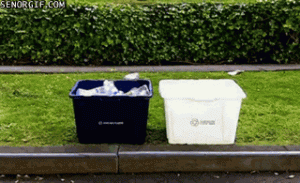 pug helping with recycling bins