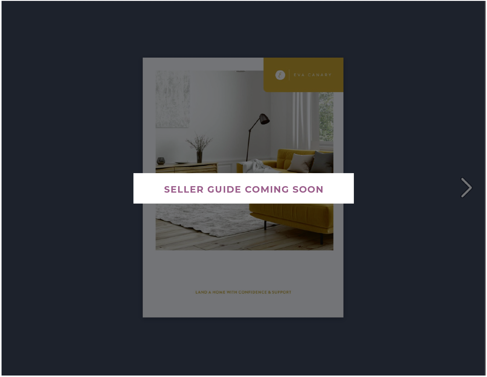 SellerGuideComingSoon